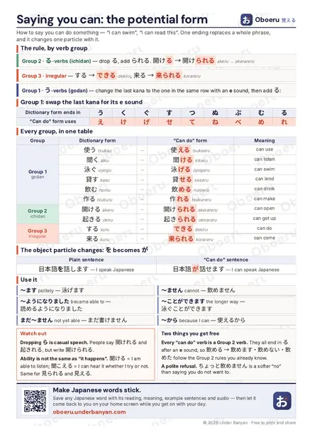 Preview of the printed Saying you can: the potential form sheet